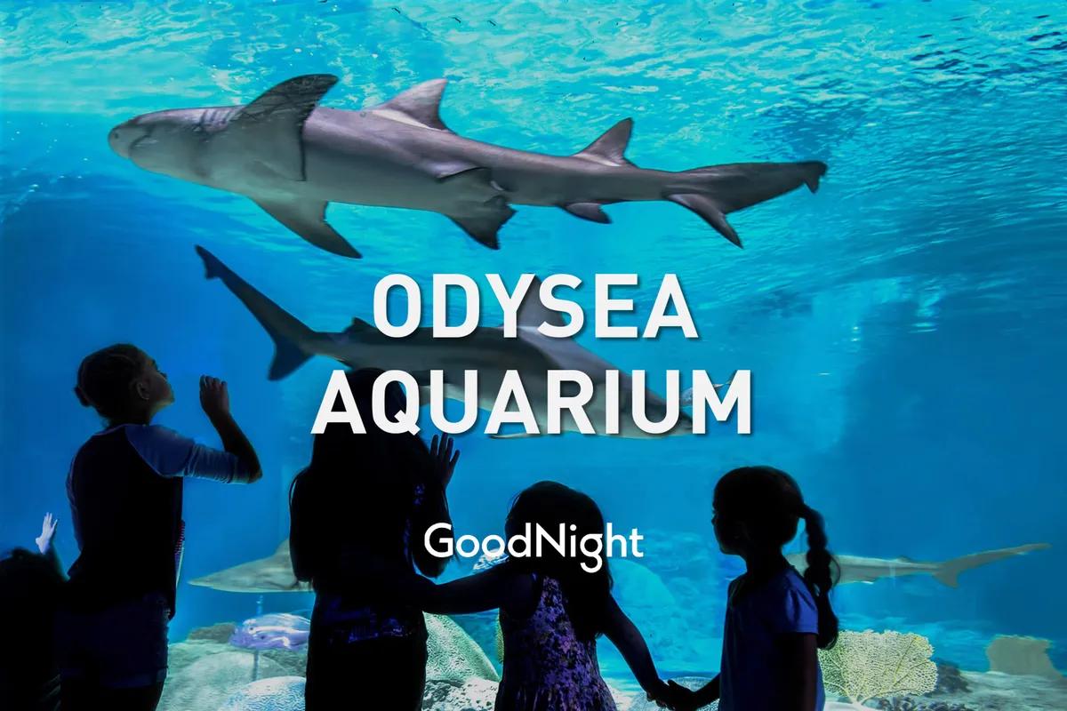 Inside a dimly lit aquarium, children’s silhouettes stand in awe as sharks glide by in a large, glowing blue tank. The atmosphere is filled with wonder and curiosity, emphasizing the hands-on, family-friendly experiences at OdySea Aquarium.
