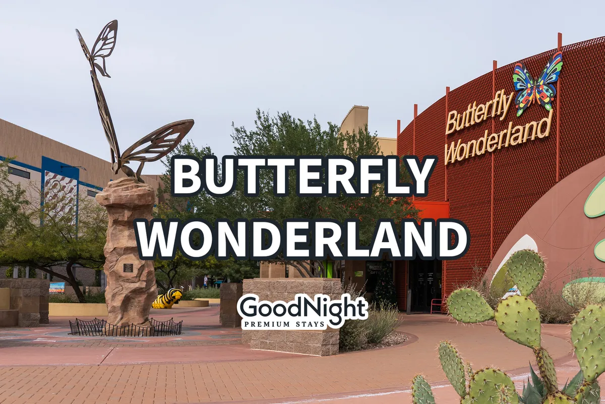 An exterior view of Butterfly Wonderland, featuring a whimsical butterfly sculpture, the signature sign, and surrounding cacti. The scene is playful and inviting, hinting at the engaging and educational experiences families can have here.